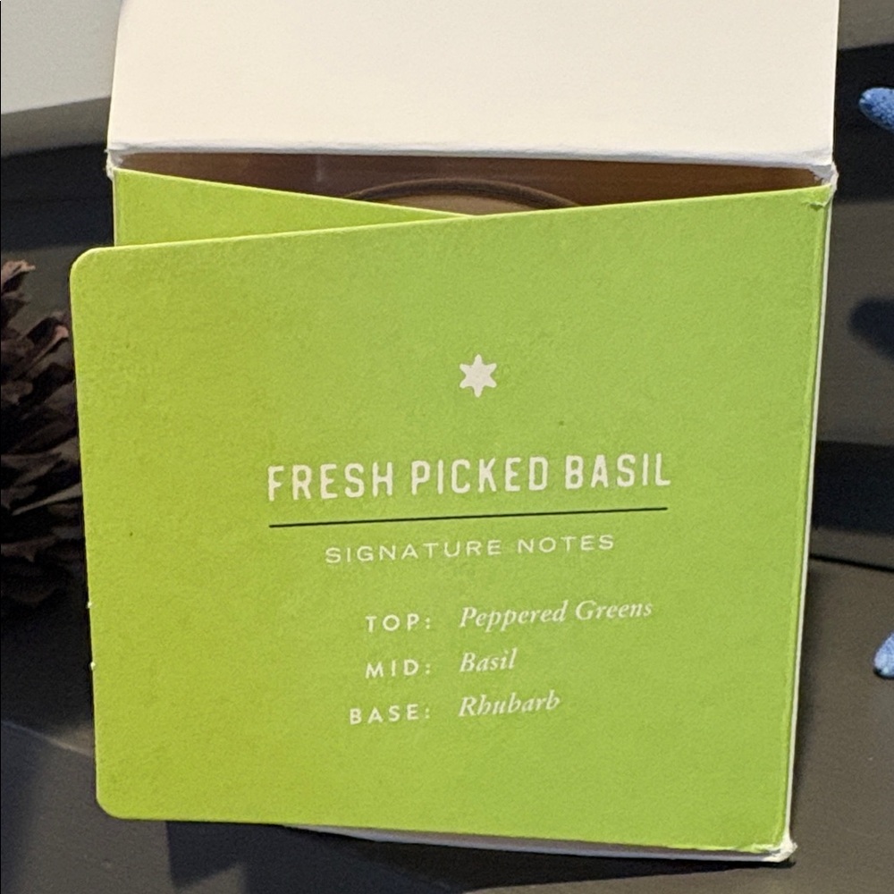 Basil Plant the Box Soy Candle 9 oz - Picture 6 of 13